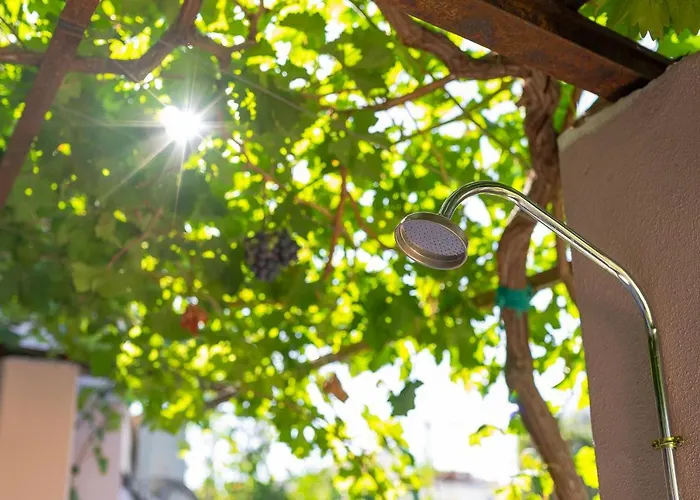 Marthas Delight ハニア