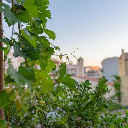 Marthas Delight * Chania (Crete)